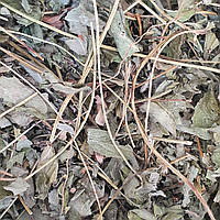 100 г перстач білий/лапчатка біла трава сушена (Свіжий урожай) лат. Potentilla alba