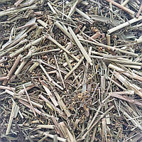 100 г подмаренник цепкий/льновый трава сушеная (Свежий урожай) лат. Gálium aparíne