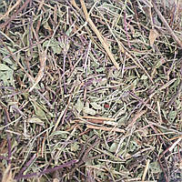 100 г зизифора трава сушеная (Свежий урожай) лат. Zizíphora