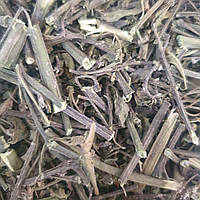 100 г паслен сладко-горький трава/побеги сушеные (Свежий урожай) лат. Solánum dulcamára