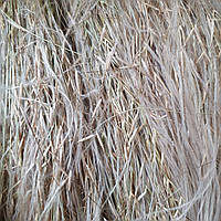 100 г ковыль трава сушеная (Свежий урожай) лат. Stipa