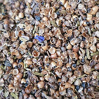 100 г псиллиум / шелуха семян подорожника (Свежий урожай) лат. Psyllium