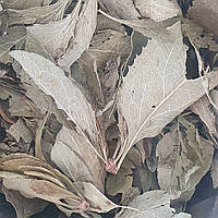 100 г барбарис обыкновенный трава/лист сушеная (Свежий урожай) лат. Bérberis