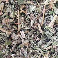 100 г зюзник европейский трава сушеная (Свежий урожай) лат. Lycopus europaeus