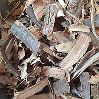 100 г лещина лесная кора сушеная (Свежий урожай) лат. Córylus avellána