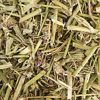 100 г короставник полевой трава сушеная (Свежий урожай) лат. Knáutia arvénsis