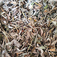 100 г ястребинка волосистая трава сушеная (Свежий урожай) лат. Pilosella officinarum