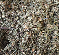 100 г лапчатка кустарниковая/пятилистник/курильский чай/желтая трава сушеная (Свежий урожай) лат. Dasiphora
