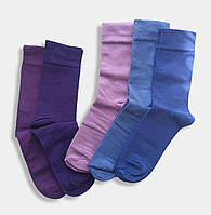 Шкарпетки чоловічі довгі кольорові демісезонні р.41-43 ТМ Twinsocks