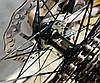 Велосипед Crosser Solo 29 (19) 3*8 Hidraulic Shimano Altus+Suntour+Logan, фото 7