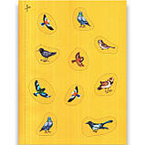 10 історій по складах Хованки на відмінно Авт: Каспарова Ю. Вид: Ранок, фото 5