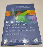 Клиническая анатомия лица Клінічна анатомія обличчя