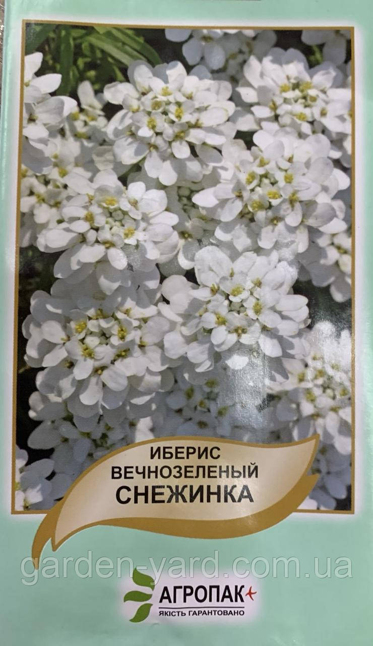 Насіння квітів Іберіс Сніжинка  0,1г. Агропак плюс