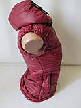 Теплі безрукавки з капюшоном., фото 3