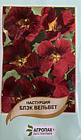 Насіння квітів Настурція Блек Вельвет Агропак плюс