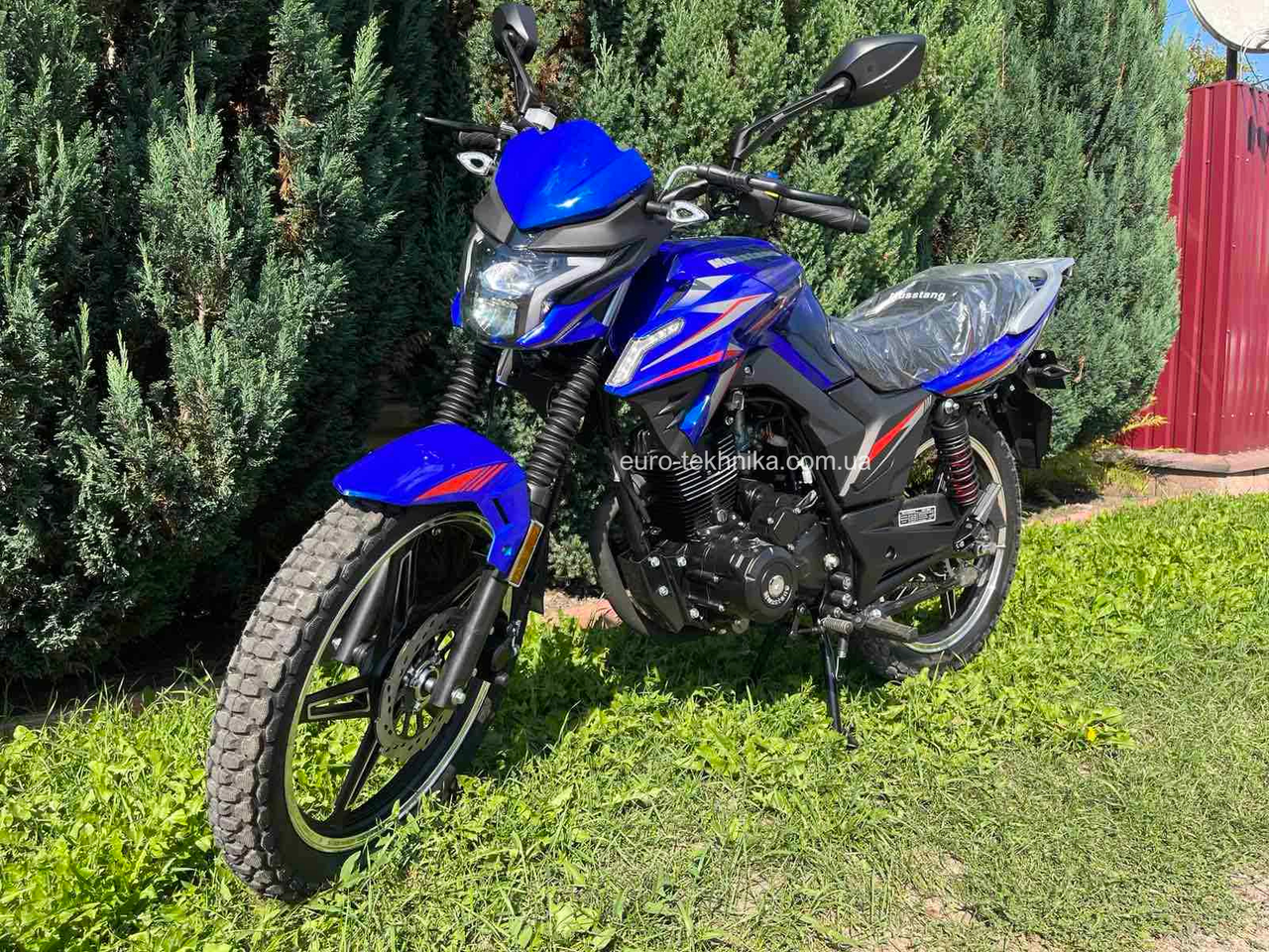 Писканың ішінен шыққан мүшесінің видеосы Мәскеуден ақшаға қара әйелді табыңыз