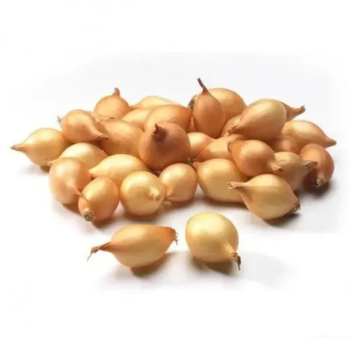 Цибуля Шеба F1 (Голандія Broer) 1 кг