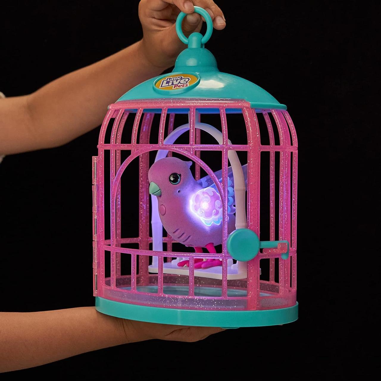 Little live on sale pets parrot