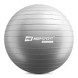 Фітбол Hop-Sport 65 см сріблястий + насос 2020, фото 7
