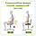 Ортопедична подушка для сидіння - Model-1, ТМ Correct Shape. Подушка від геморою, простатиту, подагри, фото 3