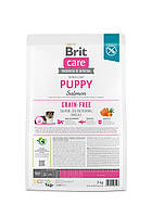 Сухий корм Беззерновий для собак Brit Care Puppy Salmon and Potato для цуценят Бріт з лососем і картоплею 3 кг., фото 4