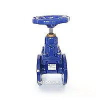 Засувка Py16 чавунна із обгумованим клином Ду 100, Zetkama