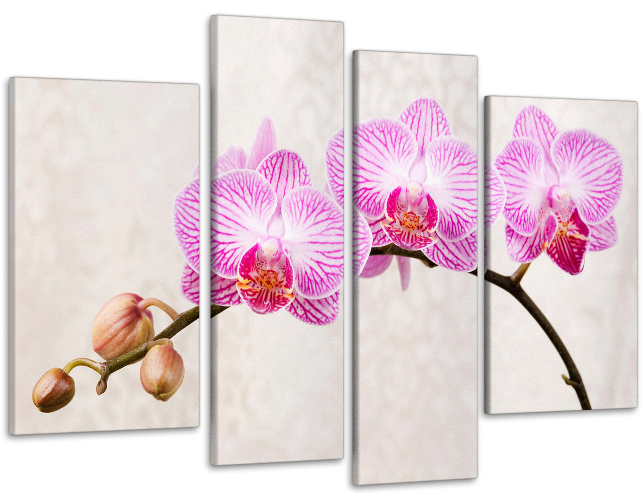 Модульна картина Квіти Орхідея Art-96_4 з лаковим покриттям