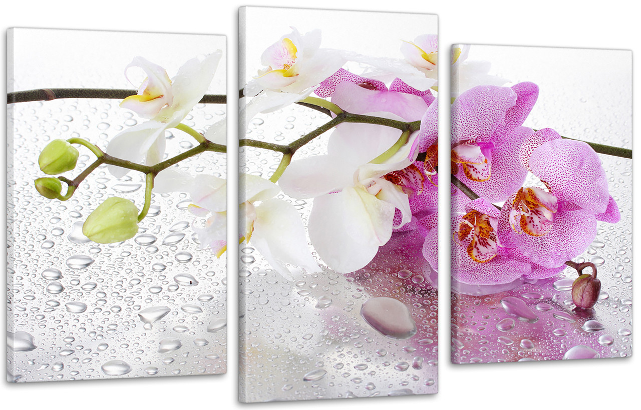 Модульна картина Квіти Орхідеї Art-15_3 з лаковим покриттям