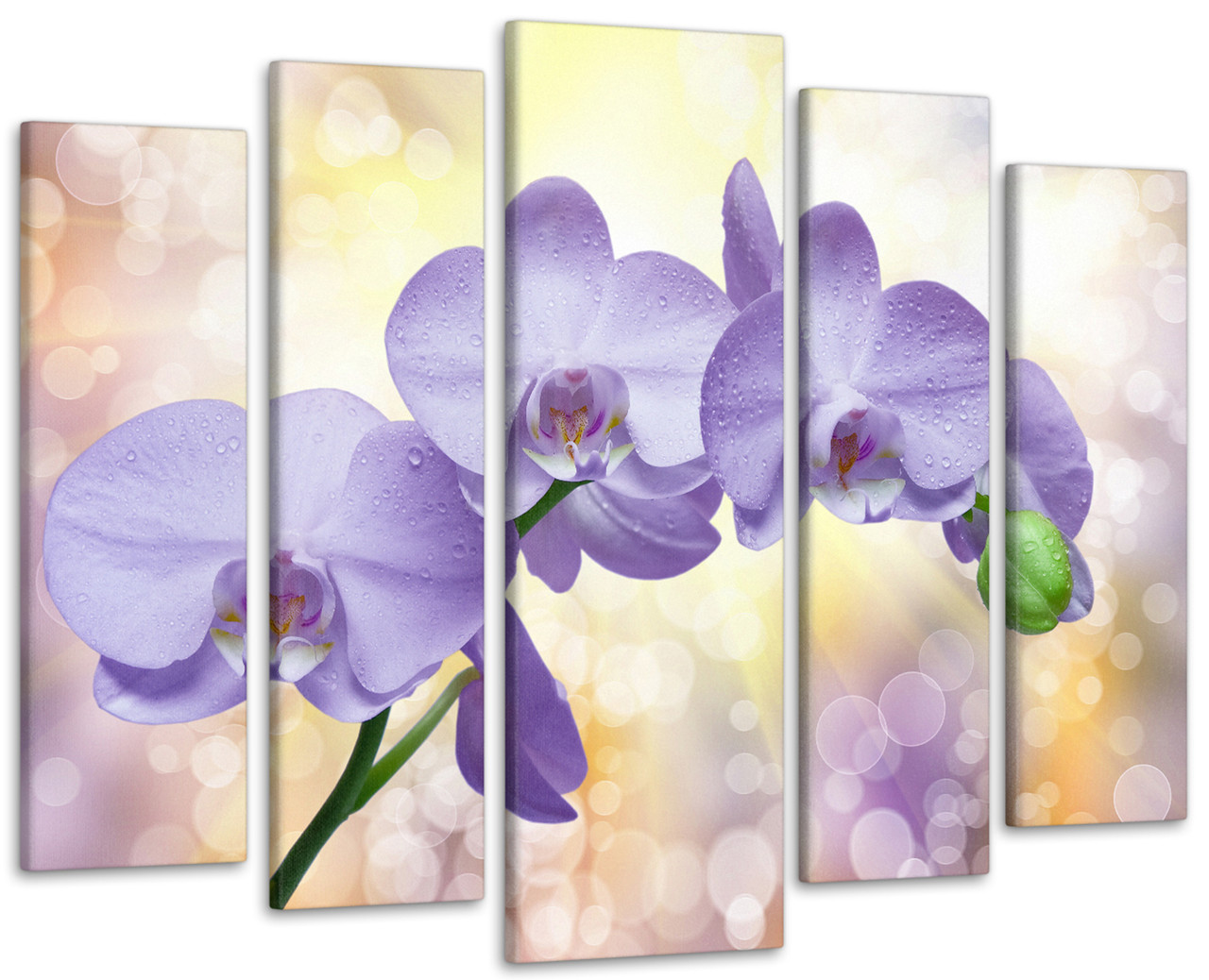 Модульна картина Орхідея Art-338_5 ( 80х118см ) з лаковим покриттям