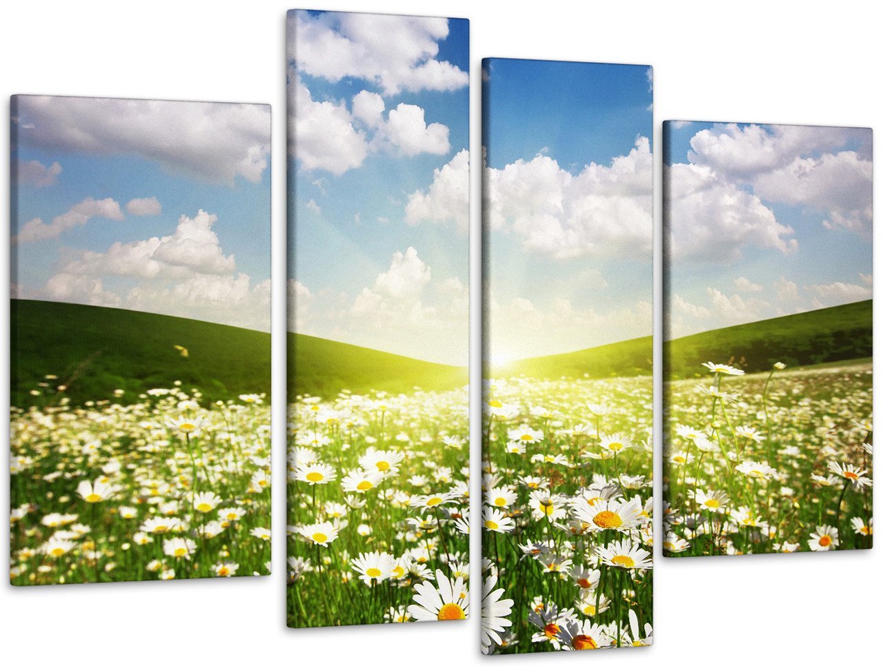 Модульна картина Поле Ромашок Art-125_4 з лаковим покриттям