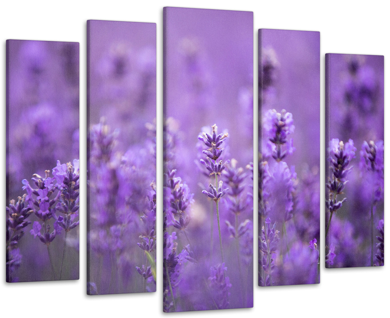 Модульна картина у вітальню / спальню Ароматна Лаванда Art-439_5 ( 80х118см ) з лаковим покриттям