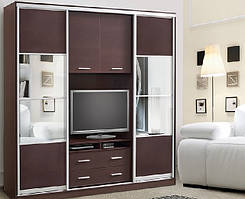 Шафа купе з нішею під телевізор