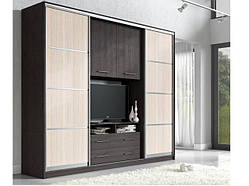 Шафа купе з нішею під телевізор