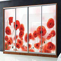 Шафи-купе тридверна 4м