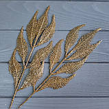 Золота гілка папороті дрібного., фото 2