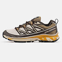 Мужские кроссовки Salomon XT-6 Expanse коричневого цвета