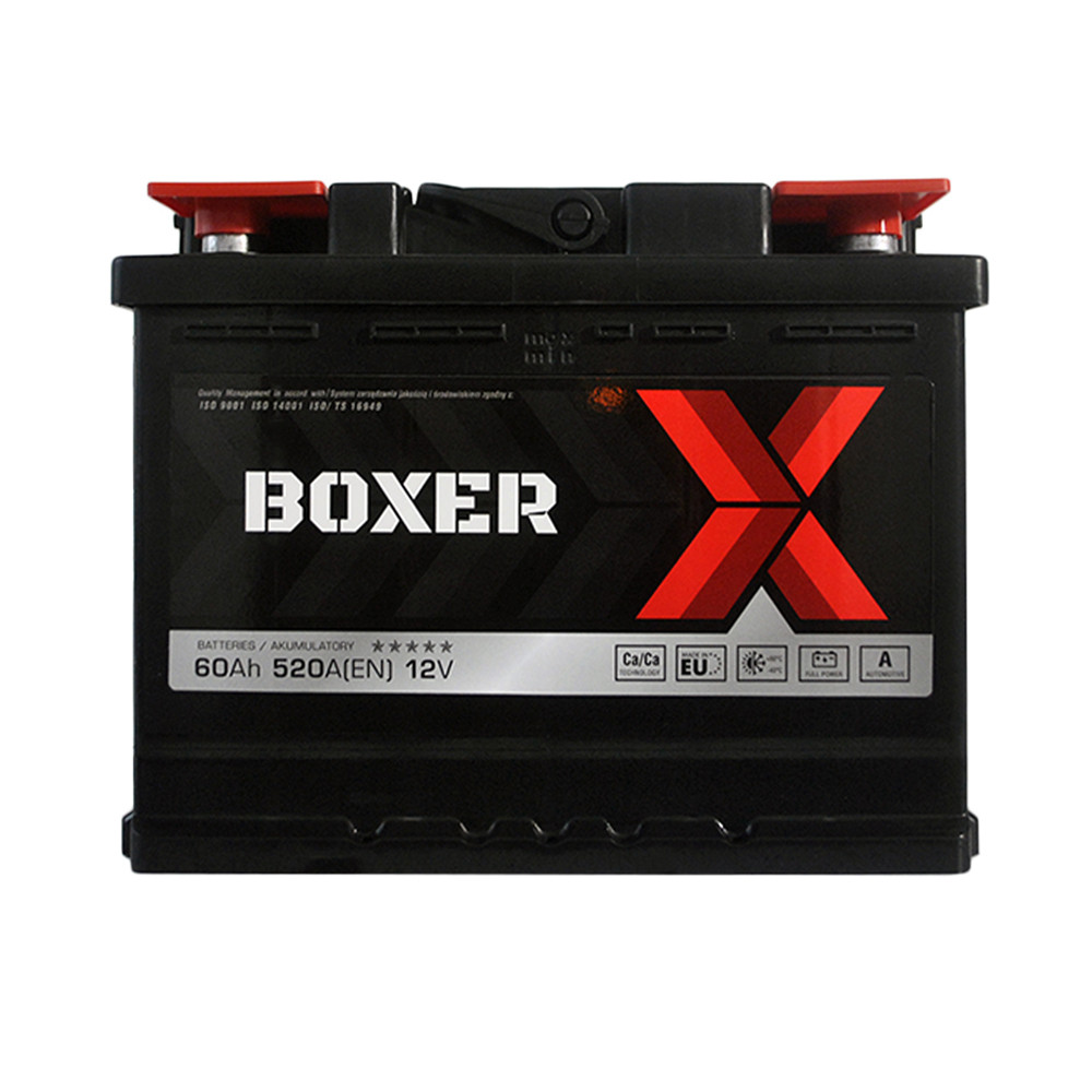 BOXER (555 80) (L2) 60Ah 520A R+