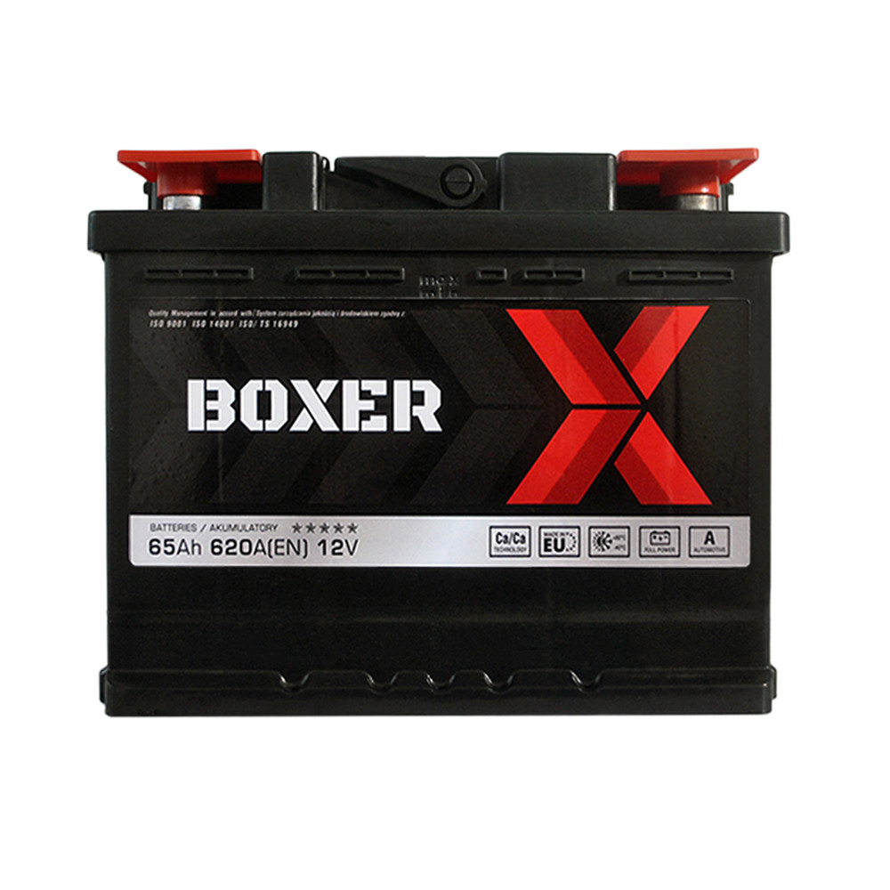 BOXER (565 80) (L2) 65Ah 620A R+