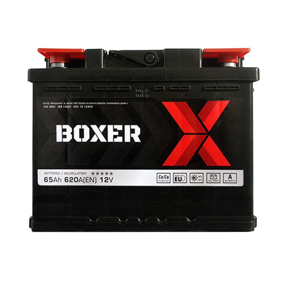 BOXER (565 81) (L2) 65Ah 620A L+