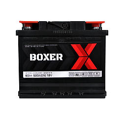 BOXER (555 81) (L2) 60Ah 520A L+