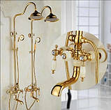 Душова система FUTURA NATURE GOLD Золото, фото 2