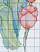 Набір для вишивання хрестиком по нанесеному на канву схемі  "Tulip 5". AIDA 14CT printed 31*30 см, фото 5