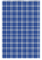 Блокнот на пружине, А4, 48 л, клетка, картонная обложка, синий BM.2460-02