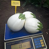CRX 50189 F1 насіння баклажану Cora Seeds Італія 100 шт, фото 2