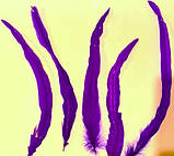 Пір'я півня Декоративне перо Колір Фіолетовий 26-35см, фото 6