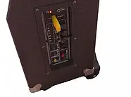 Колонка акумуляторна акустична з екраном та мікрофоном 12″ Ailiang 8-13, фото 5