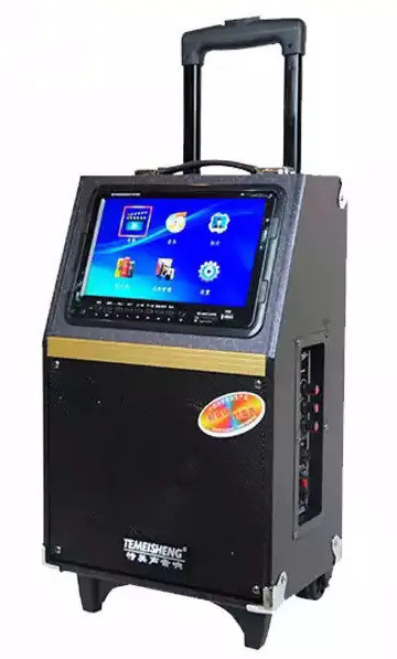 Колонка акумуляторна акустична з екраном та мікрофоном 12″ Ailiang 8-13