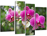 Модульная картина Цветы Орхидея Art-82_4 с лаковым покрытием