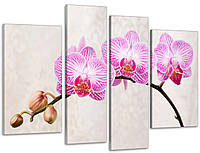 Модульная картина Цветы Орхидея Art-96_4 с лаковым покрытием