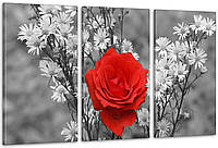 Модульная картина Цветы Роза Art-3_3А с лаковым покрытием